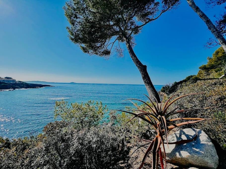 Escapade Au Coeur De Sanary Appartement Buitenkant foto